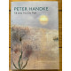 Till Day You Do Part or a Question of Light by ''Handke, Peter''